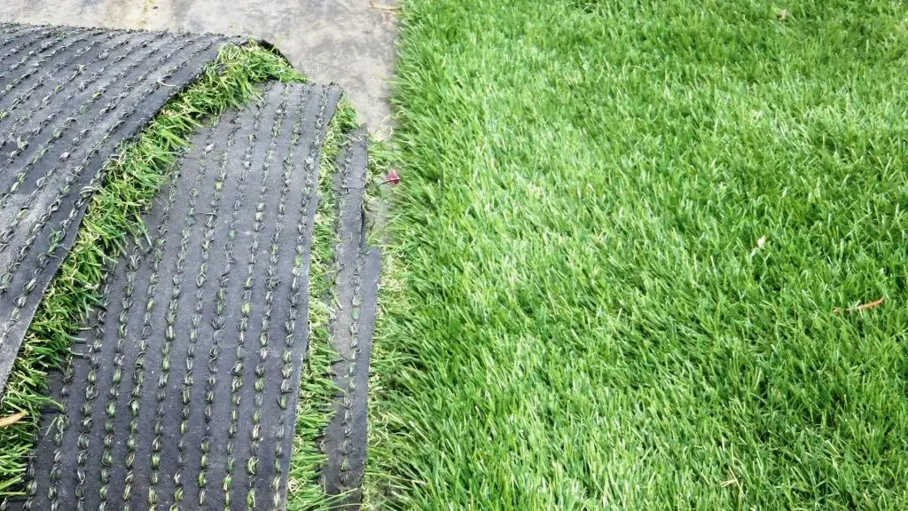 motclef2 localisation2